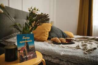 Апартаменты Sunny apartments in the center of Chernivtsi Черновцы Апартаменты-36