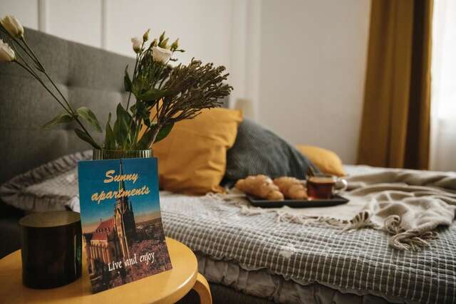 Апартаменты Sunny apartments in the center of Chernivtsi Черновцы-3